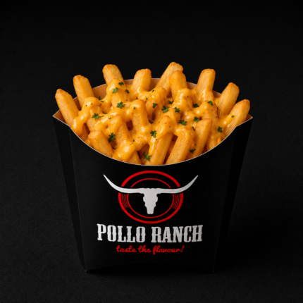 CHEESY FRIES